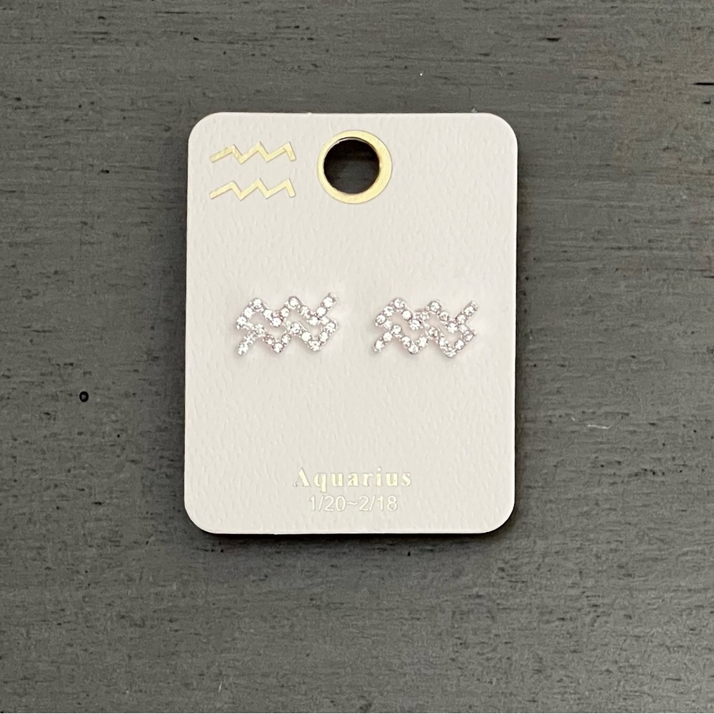♒️🏺Aquarius Astrological Zodiac Sign Crystal Silver Earrings Jan 20 - Feb 18